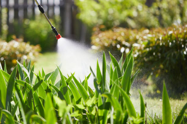 24/7 Emergency Bed Bug Control experts in Spring Valley, IL